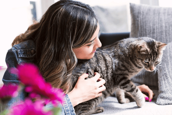 Cats Protection charity needs volunteer foster carers to help domestic abuse sufferers.