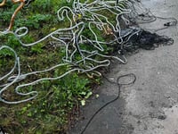 Callous Grinches vandalise Cubert's Christmas lights display