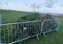 Residents take advantage of Christmas tree recycling scheme