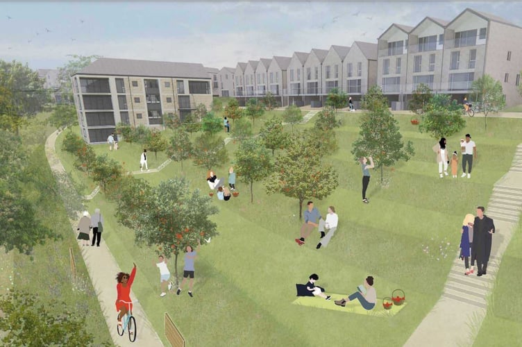 Trannack development