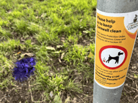 Fouling issue ‘highlighted’ across the city
