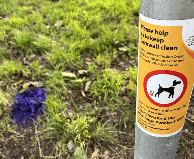 Fouling issue ‘highlighted’ across the city