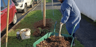 Town could be getting a bit greener