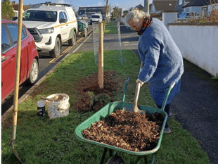 Town could be getting a bit greener