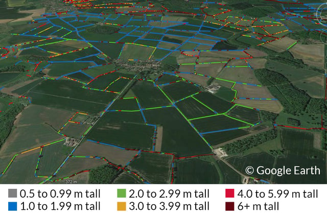 Cornwall comes out on top for hedgerow count