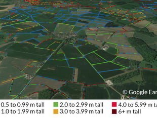 Cornwall comes out on top for hedgerow count