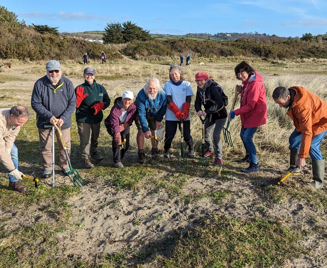 Friends of Par Beach tackle invasive dune plants 
