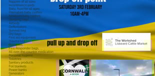 Liskeard Lions to host donation pop up event tomorrow 