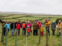 St Ives architects help create a forest