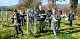 Wassail to grow in its popularity
