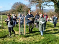 Wassail to grow in its popularity
