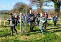 Wassail to grow in its popularity