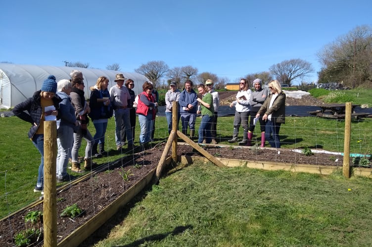 previous participant of the Grow Your Own workshops in Wadebridge