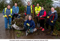 Volunteers tackle overgrown hedges 