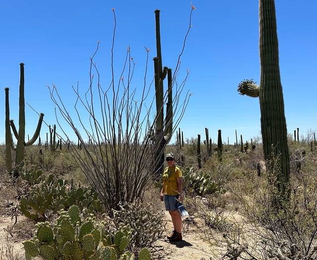 Bursary prize awarded for ‘outstanding’ report