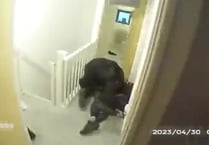 Bodmin stabbings: Video captures moment murder suspect was arrested