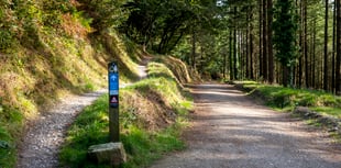 Storm Darragh: Popular woodland walk announces closure amid risk