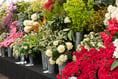 Big plans ahead for Duchy flower show