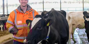 College's Future Farm setting animal standards
