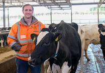 College's Future Farm setting animal standards
