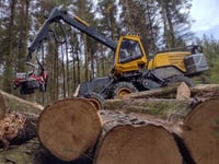 Trails closed due to tree work at popular woods