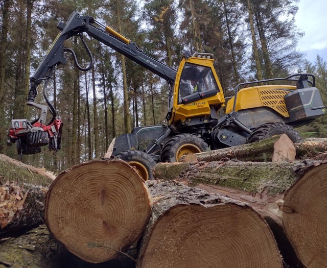 Trails closed due to tree work at popular woods
