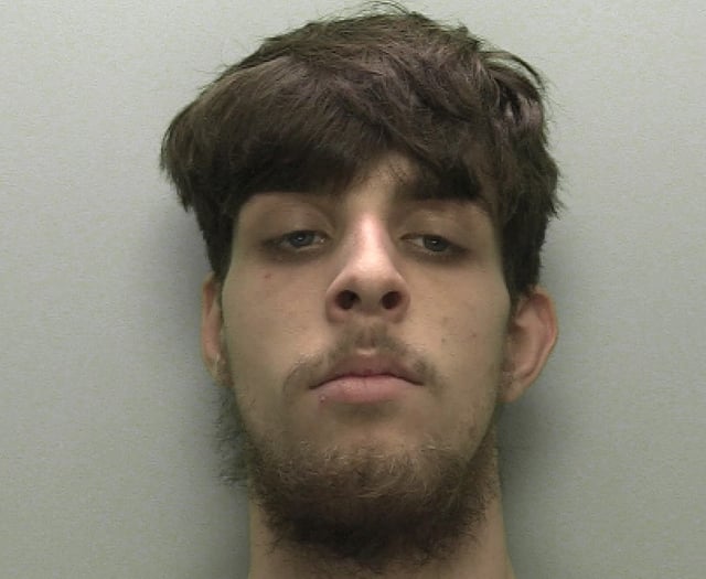 Young offender jailed for robbery and assaulting police officers