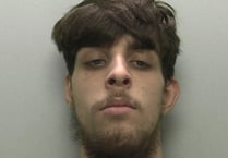 Young offender jailed for robbery and assaulting police officers