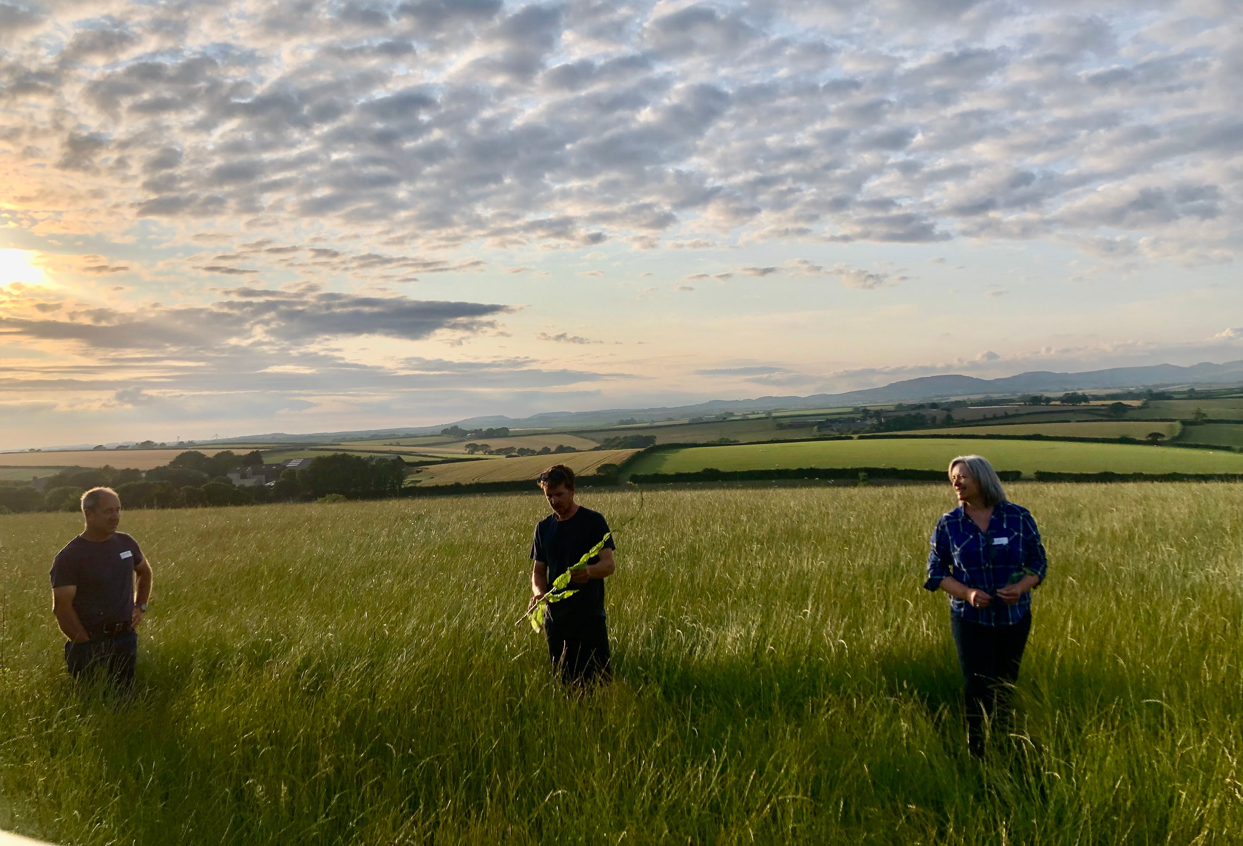 Cornish farmers helping climate and flood resilience in Mevagissey ...