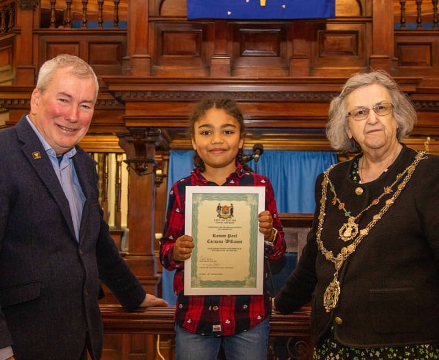 Call-out for junior civic heroes