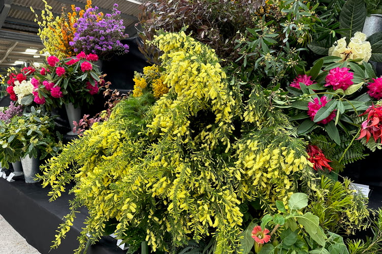 CGS Spring Flower Show 2023