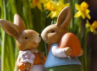 Easter bunnies visit Truro gardens
