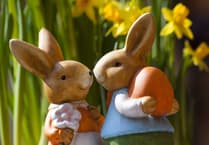 Easter bunnies visit Truro gardens