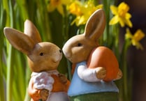 Easter bunnies visit Truro gardens
