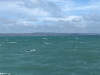 Lifeboat crew saves humpback whale trapped in fisherman's ropes