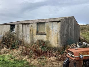 Contentious piggery plan goes the whole hog
