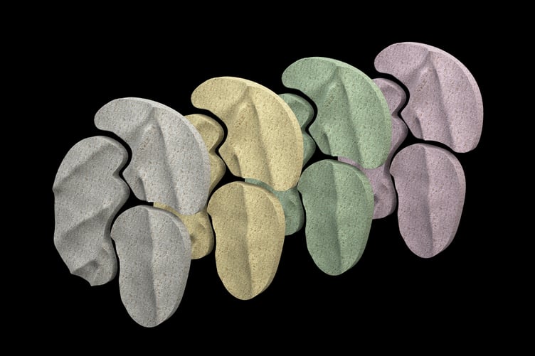 Dani Middletons work she will show at the exhibit