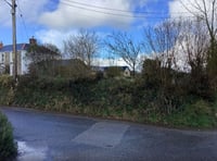 Housing proposal’s loss of Cornish hedge would be ‘criminal’
