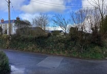 Housing proposal’s loss of Cornish hedge would be ‘criminal’