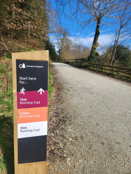 One of the trails at Cardinham Woods
