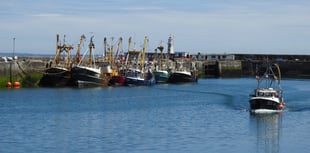 New board members sought to support development of Newlyn Harbour