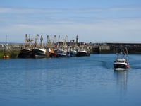 New board members sought to support development of Newlyn Harbour