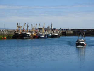 New board members sought to support development of Newlyn Harbour