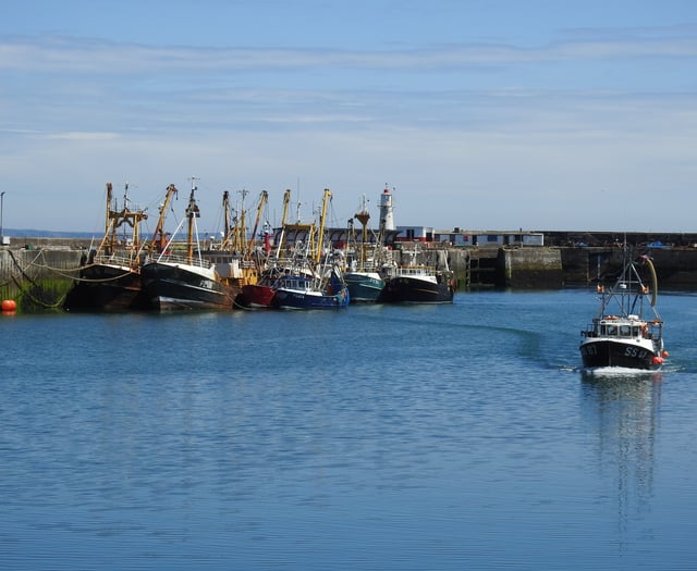 New board members sought to support development of Newlyn Harbour