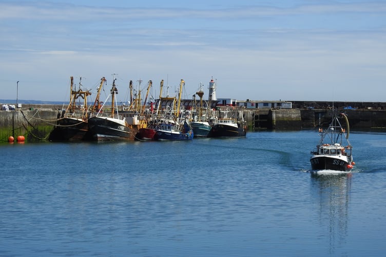 Newlyn Harbour