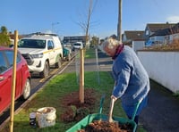 Residents invited to help shape plans to enhance local green space