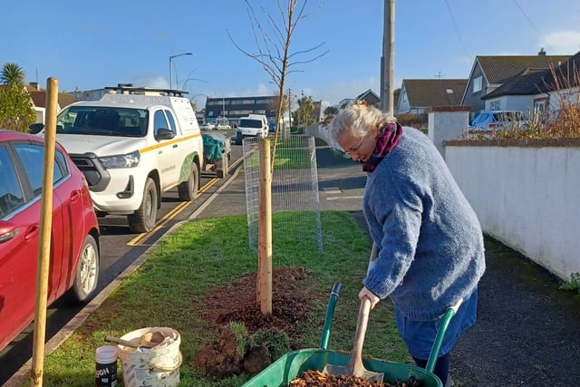 Residents invited to help shape plans to enhance local green space