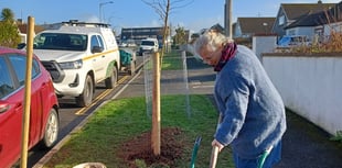 Residents invited to help shape plans to enhance local green space