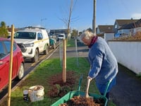 Residents invited to help shape plans to enhance local green space