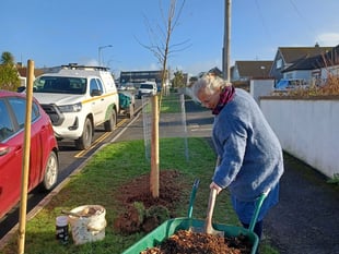 Residents invited to help shape plans to enhance local green space